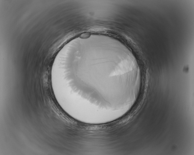 X0000115091401200912081224