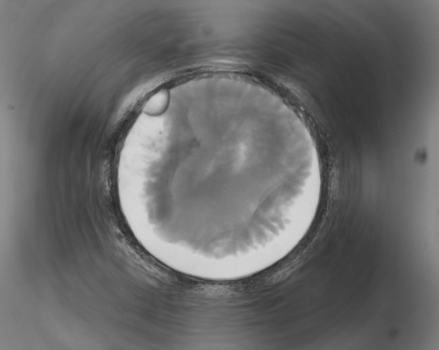 X0000115091402200912081224
