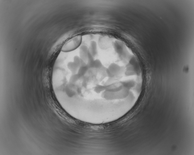 X0000115091403200912081224