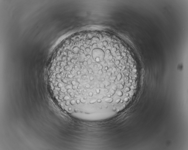 X0000115091404200912081224