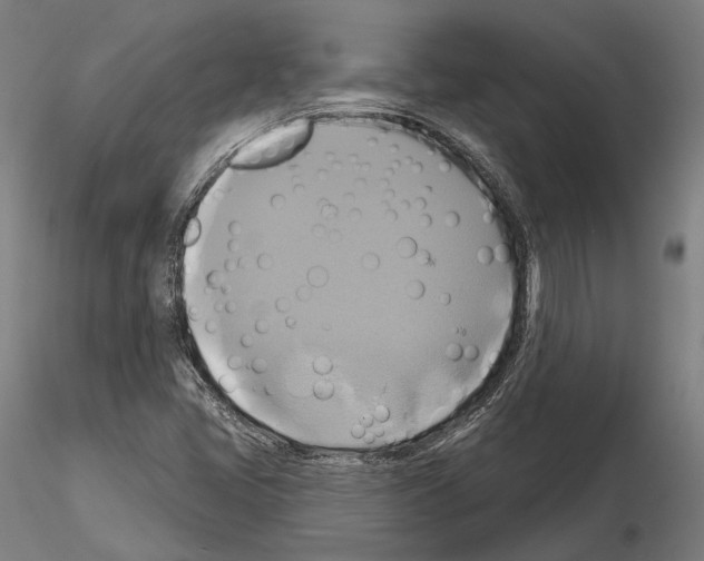 X0000115091405200912081224