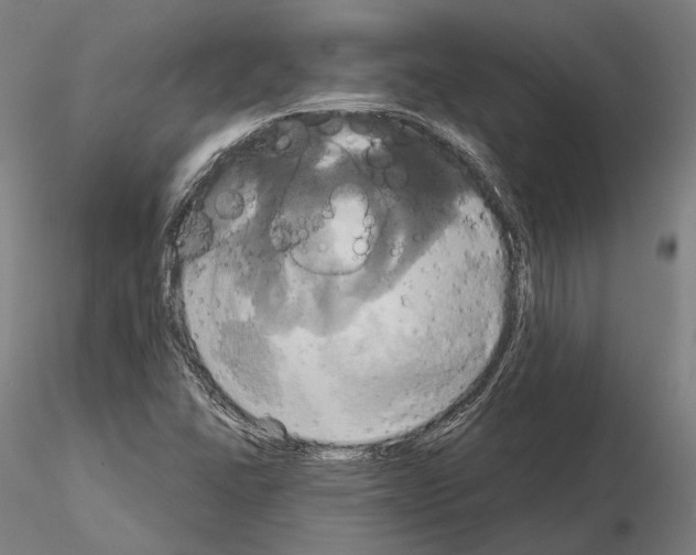 X0000115091406200912081224