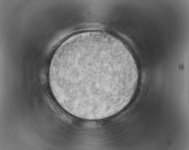 X0000115091407200912081224