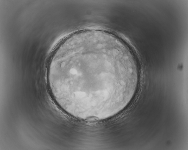 X0000115091408200912081224