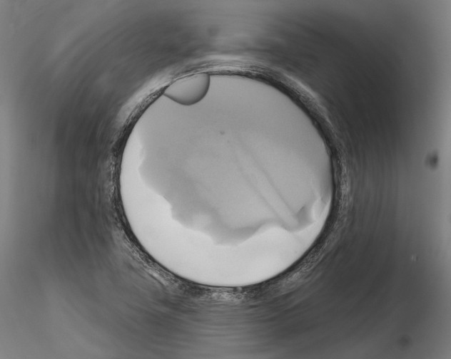 X0000115091411200912081224