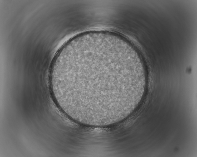 X0000115091412200912081224