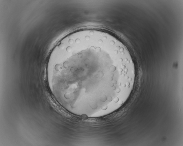 X0000115091413200912081224