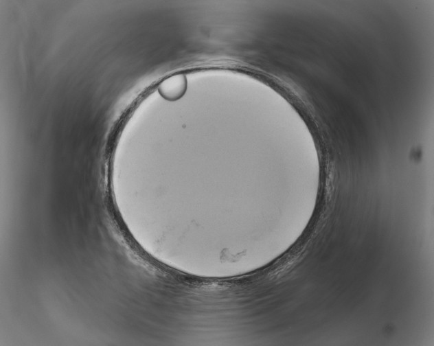 X0000115091414200912081224
