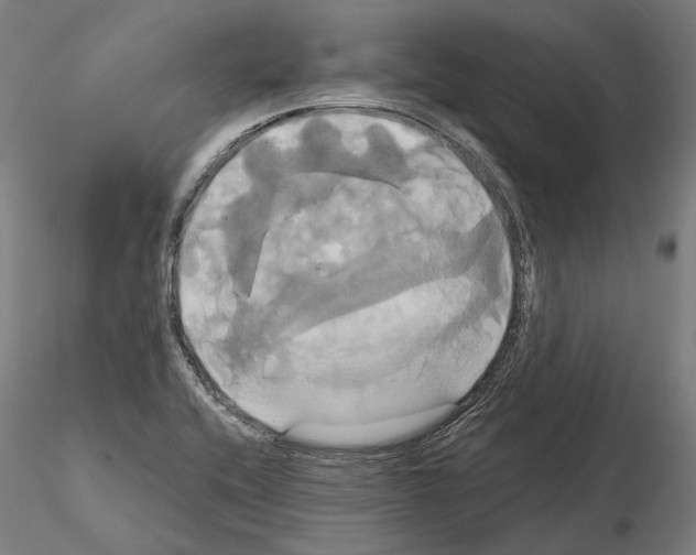 X0000115091416200912081224
