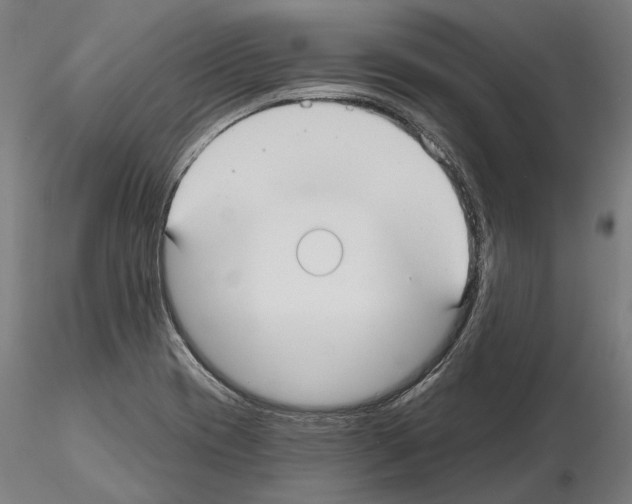 X0000115091417200912081224
