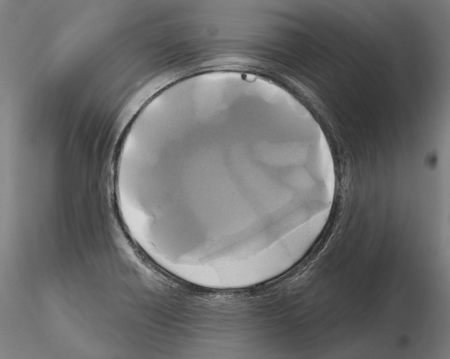 X0000115091418200912081224