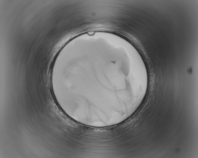 X0000115091419200912081224
