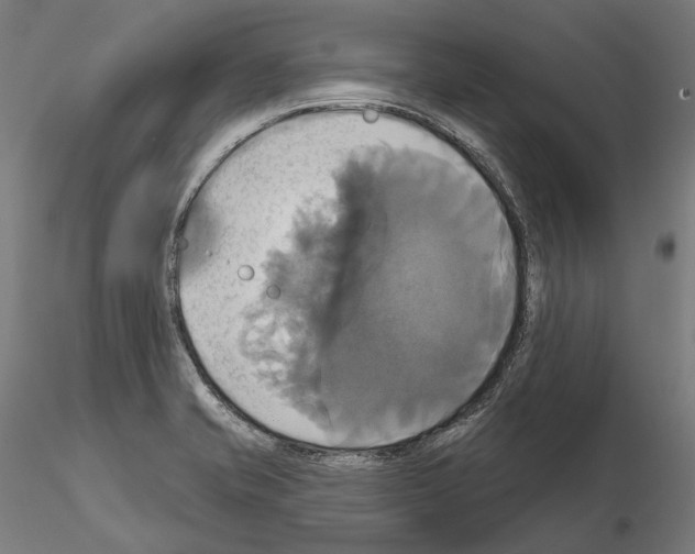 X0000115091421200912081224