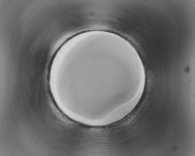 X0000115091422200912081224