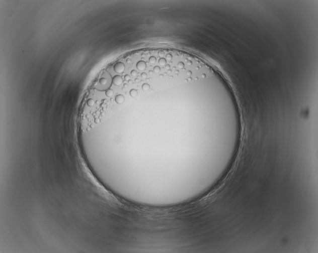 X0000115091424200912081224
