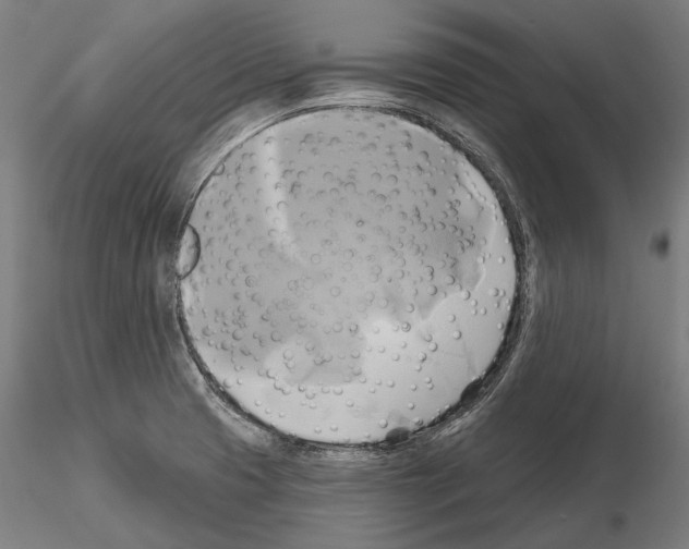 X0000115091425200912081224