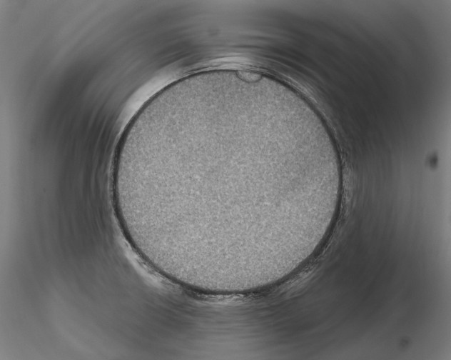 X0000115091426200912081224