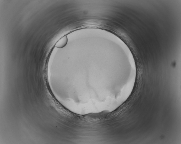 X0000115091427200912081224