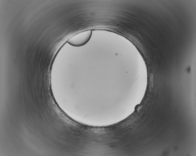 X0000115091428200912081224