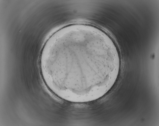 X0000115091429200912081224