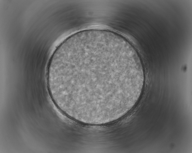 X0000115091430200912081224
