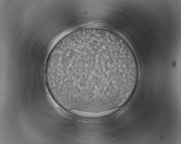 X0000115091434200912081224
