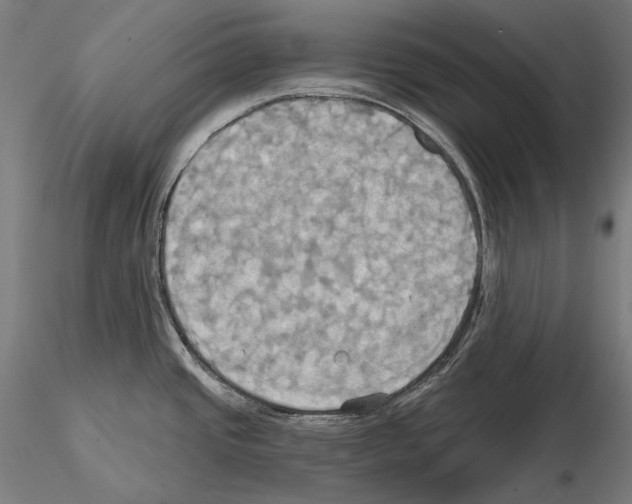 X0000115091437200912081224