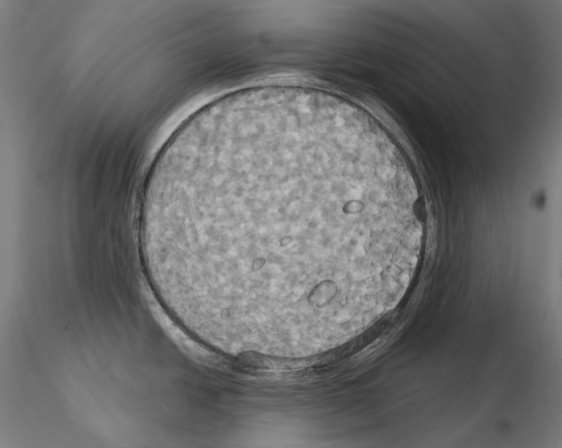 X0000115091438200912081224