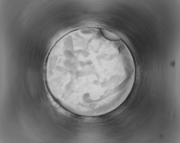 X0000115091439200912081224