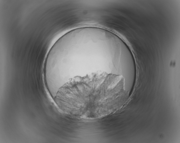 X0000115091440200912081224