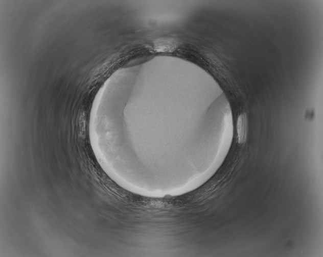X0000115091443200912081223