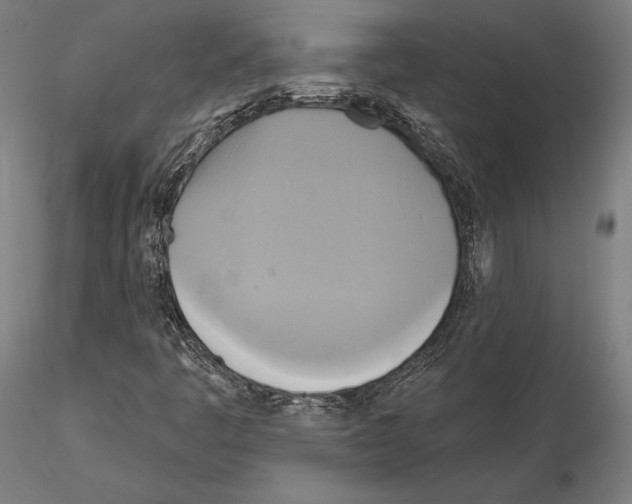 X0000115091445200912081223