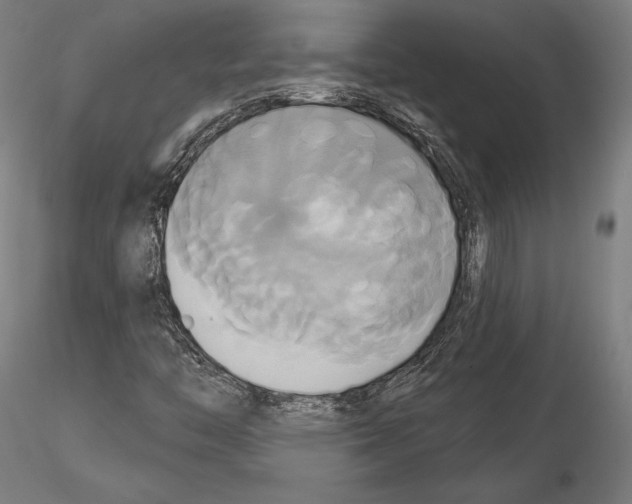 X0000115091446200912081223