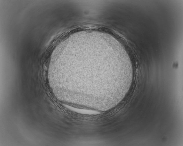 X0000115091447200912081223