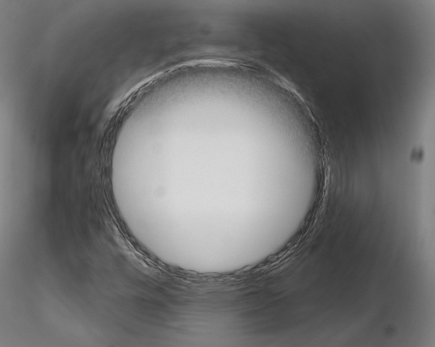 X0000115091448200912081223