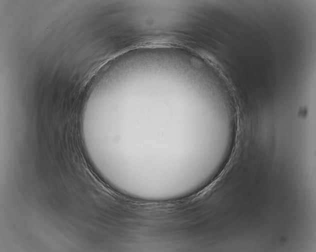 X0000115091449200912081223