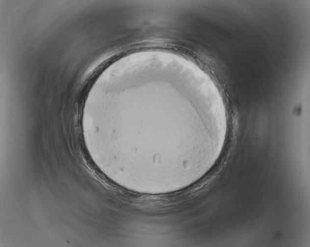 X0000115091450200912081223