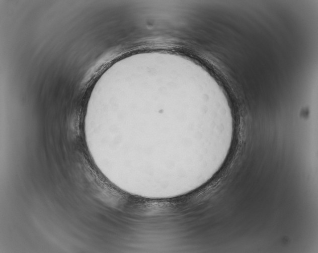 X0000115091451200912081223