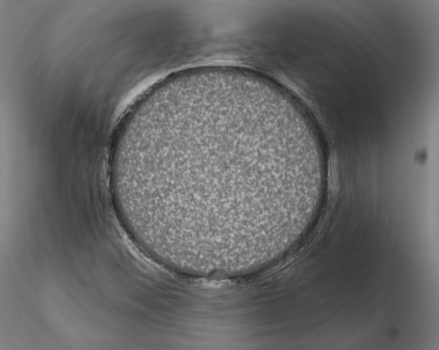 X0000115091452200912081223