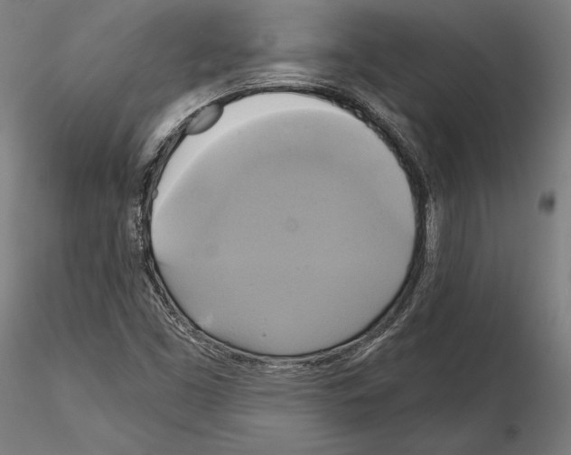 X0000115091453200912081223