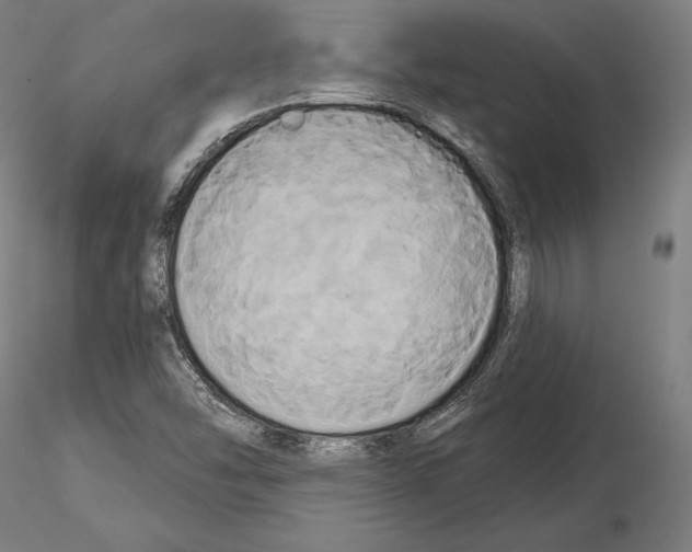 X0000115091454200912081223