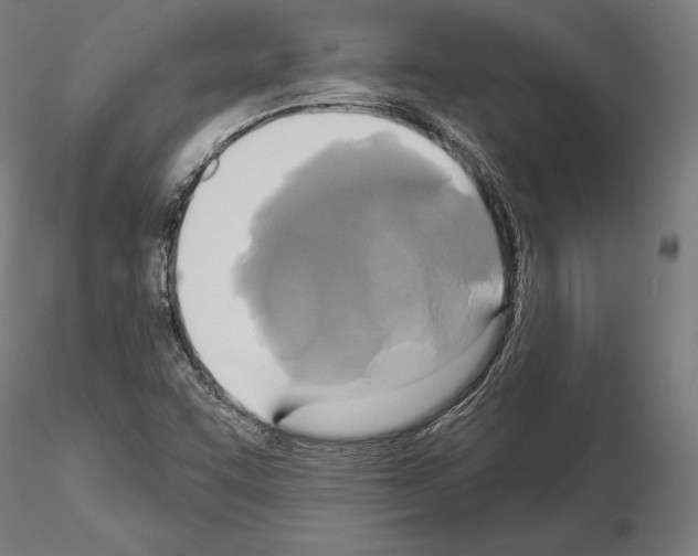 X0000115091455200912081223