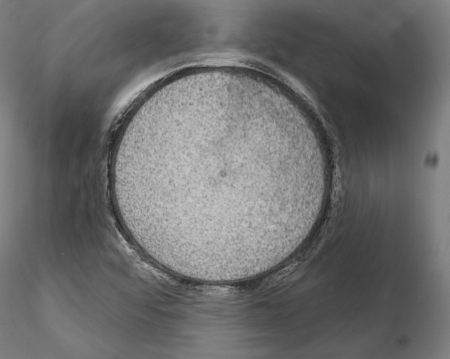 X0000115091456200912081223