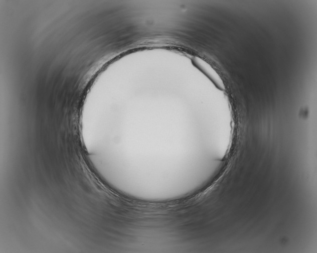 X0000115091457200912081223