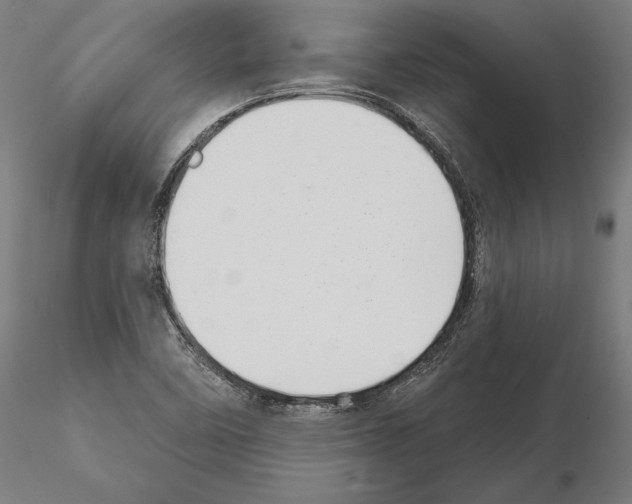 X0000115091458200912081223