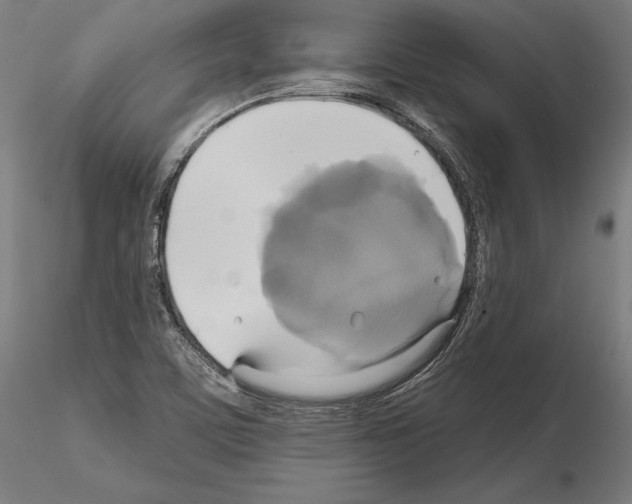 X0000115091459200912081223