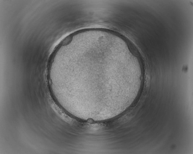 X0000115091460200912081223