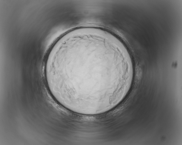 X0000115091462200912081223