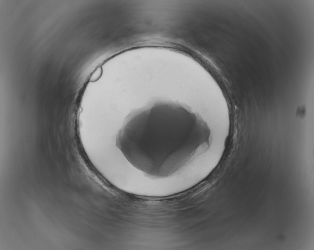 X0000115091463200912081223