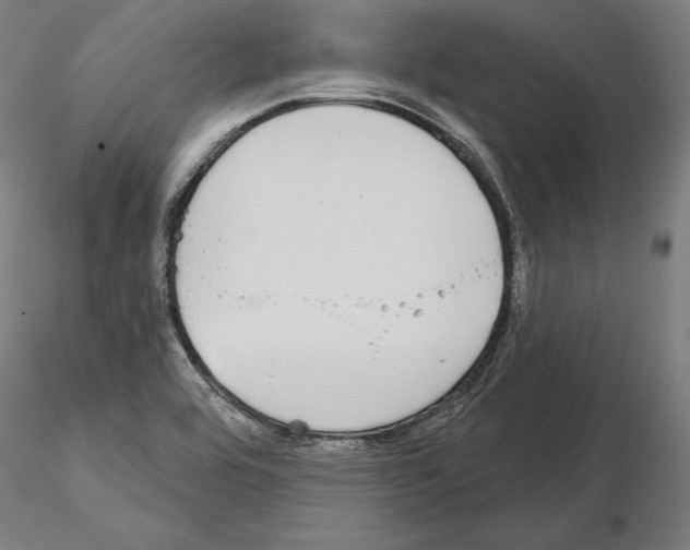 X0000115091464200912081223